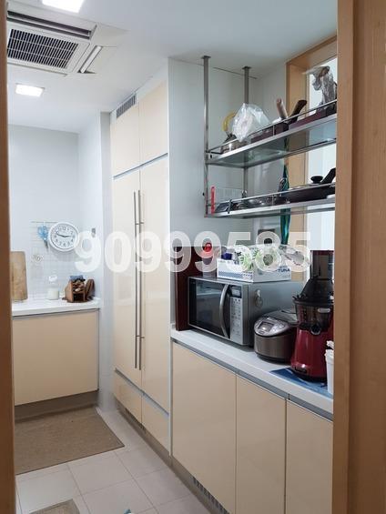 Paterson Residence (D9), Condominium #167182052